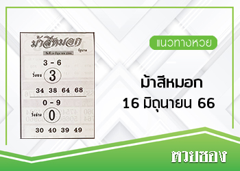 ม้าสีหมอก 16/6/66