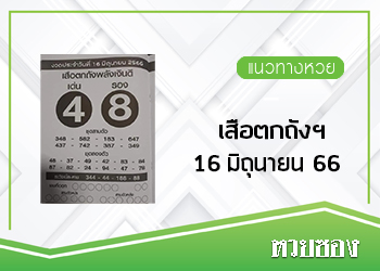 เสือตกถังพลังเงินดี 16/6/66