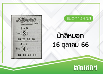 ม้าสีหมอก 16/10/66